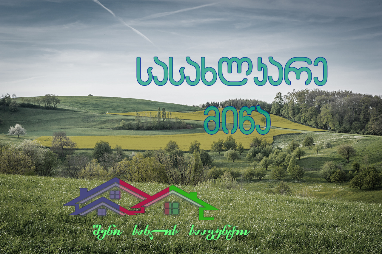 შენი სახლი