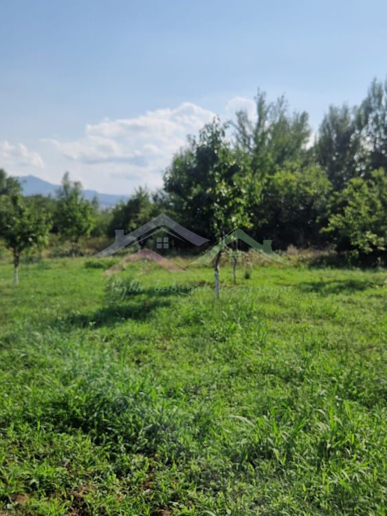 შენი სახლი