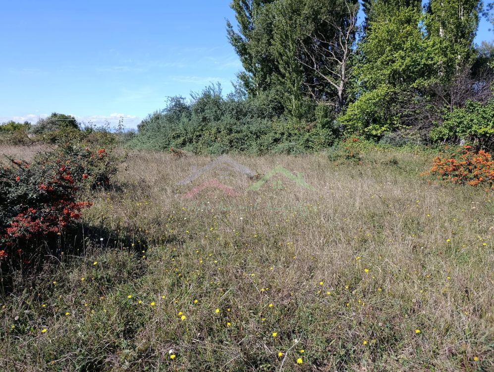 შენი სახლი