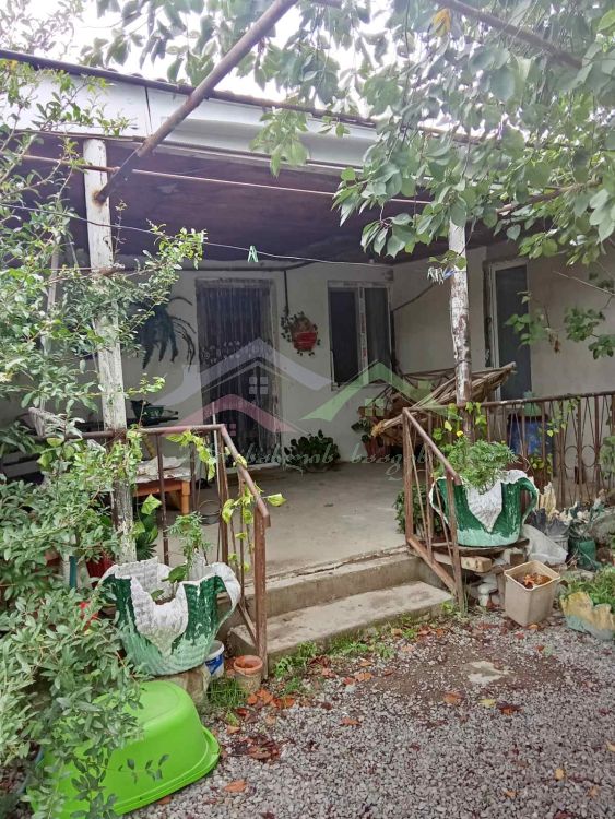 შენი სახლი