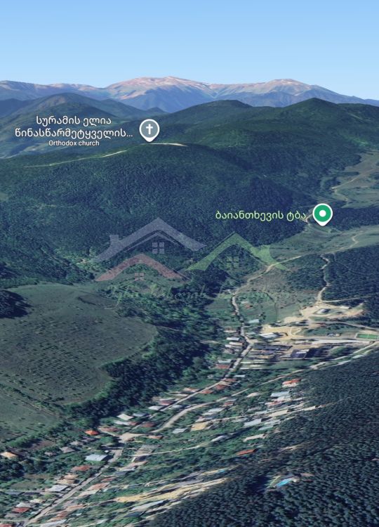 შენი სახლი