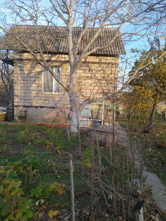 შენი სახლი