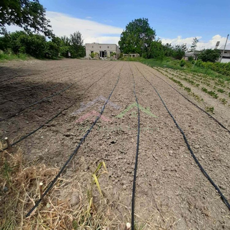 შენი სახლი