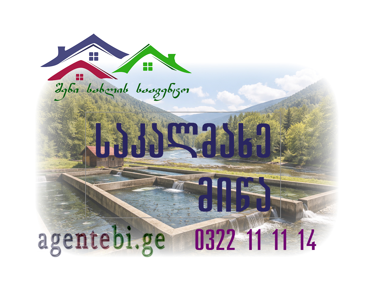 შენი სახლი