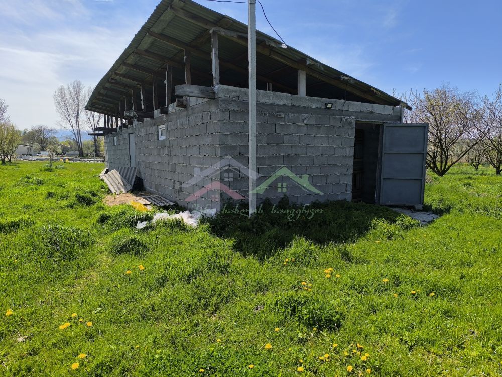 შენი სახლი