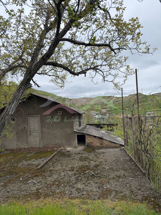 შენი სახლი